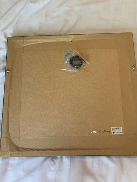 Mickey Mouse Mole Sheet LE 1000 75TH Frame Pin sET
