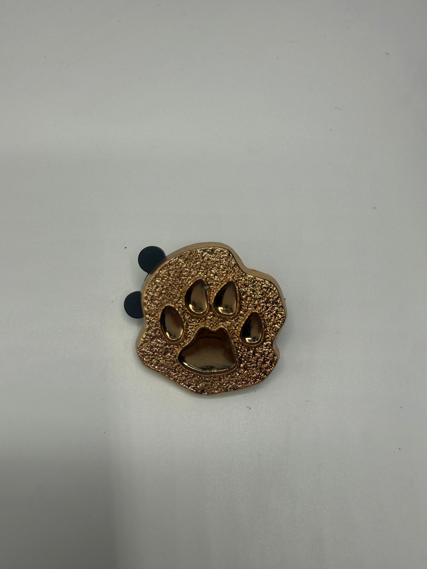 Lion King Studio Operations Disney Pin