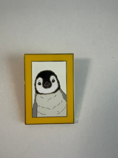 Penguin Colorful