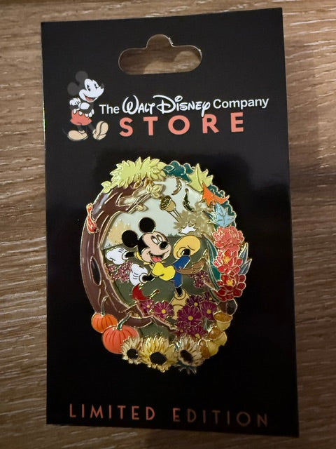 Mickey Fall Vibes DEC
