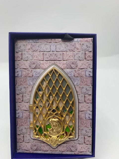 Aurora Royal Window WDI LE 300 Disney Box Pin